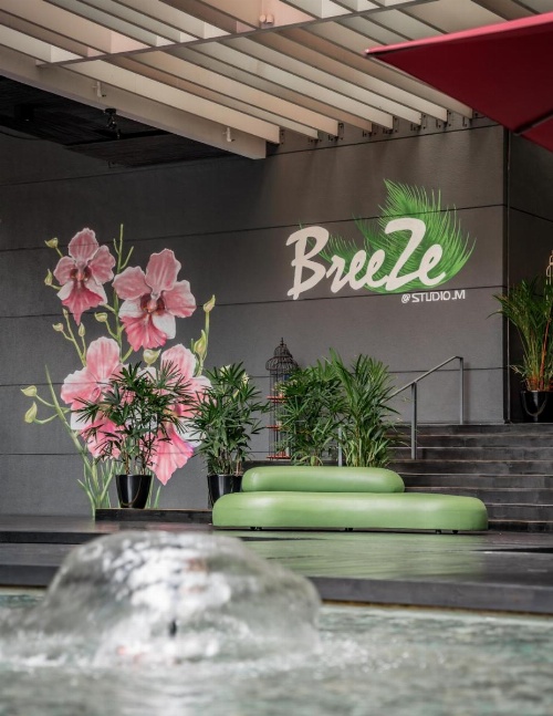 Studio M Hotel image 8